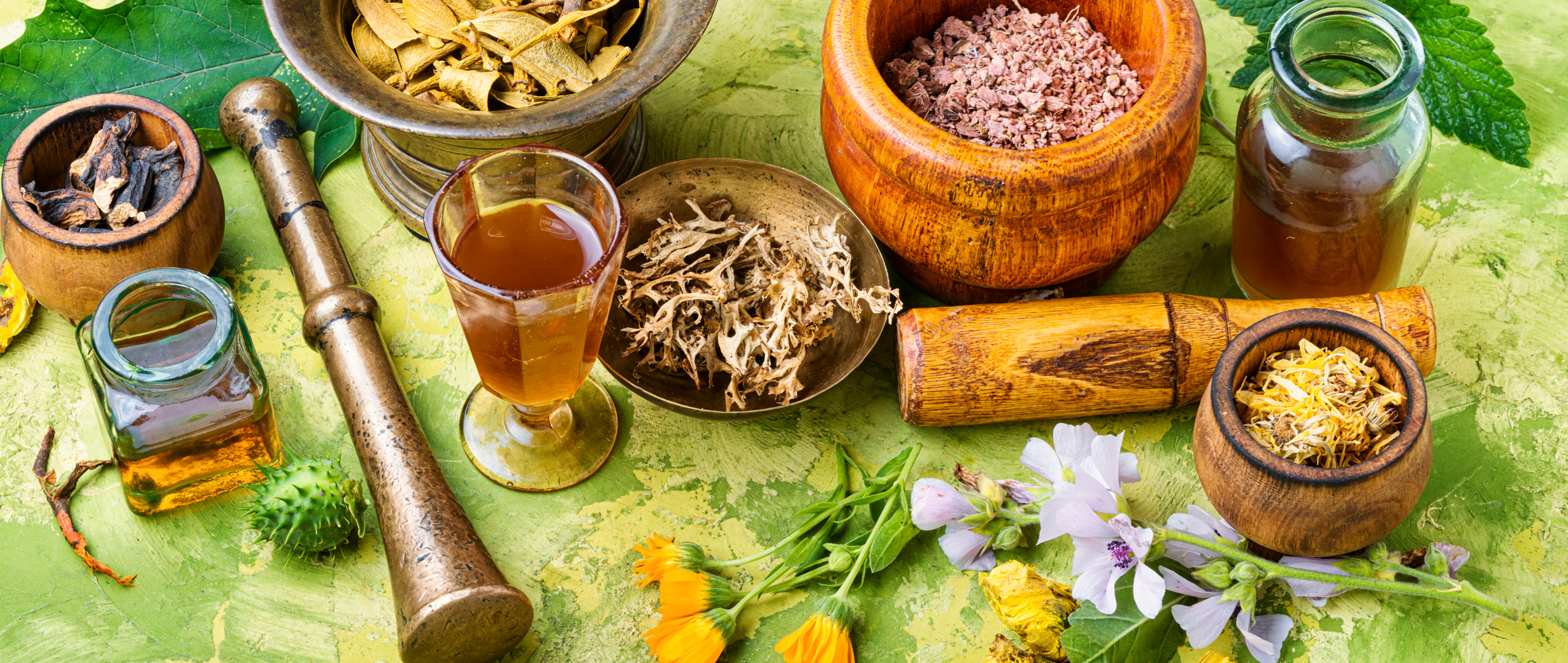 Herbal naturopathic medicine